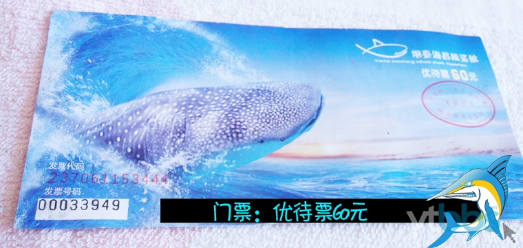 海昌鲸鲨馆门票介绍图片