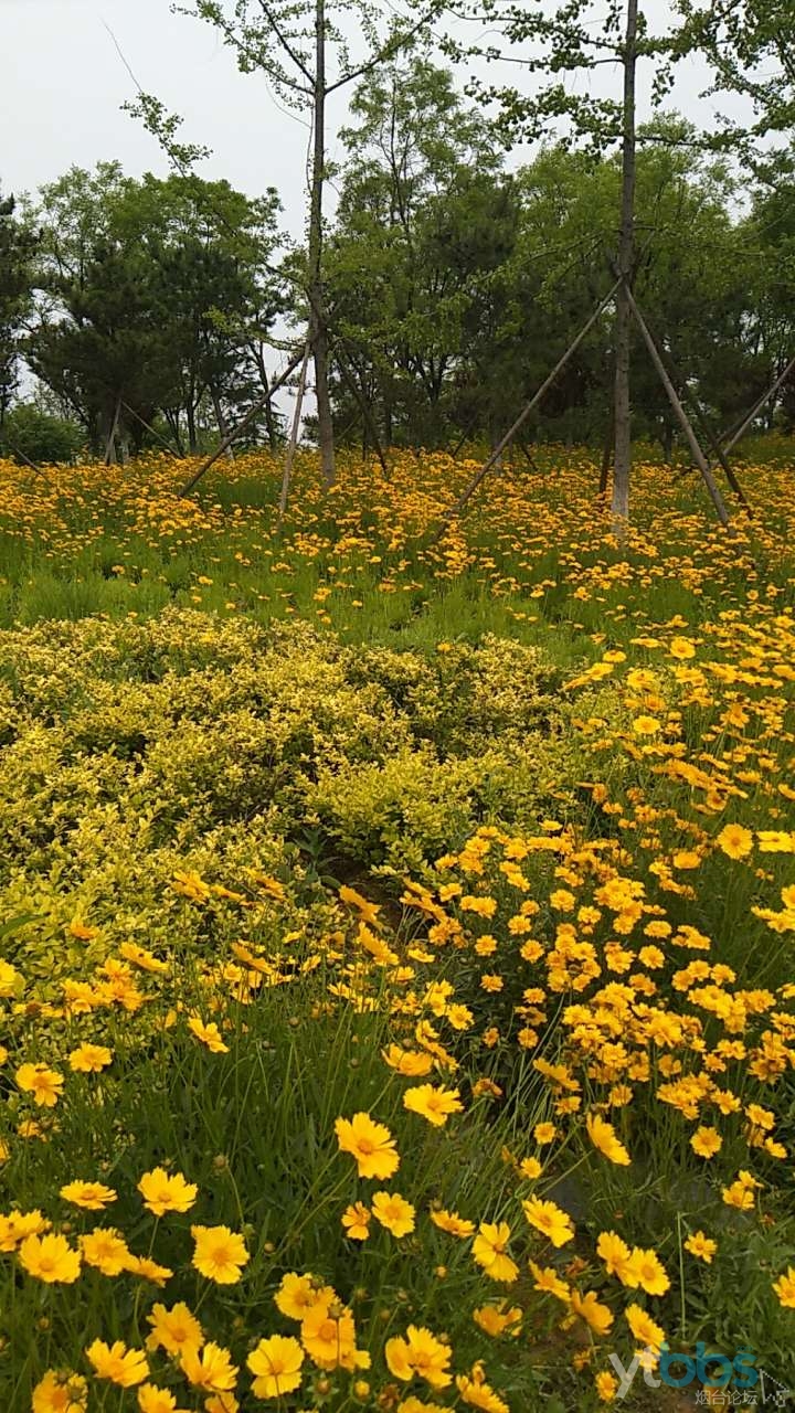 美麗的萊山植物園