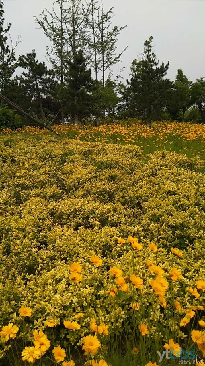 美麗的萊山植物園