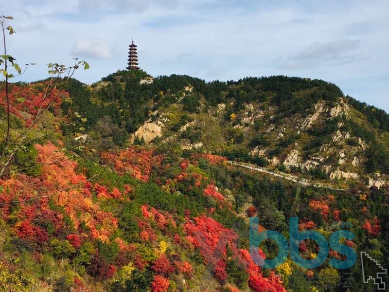 烟台塔山三和塔图片