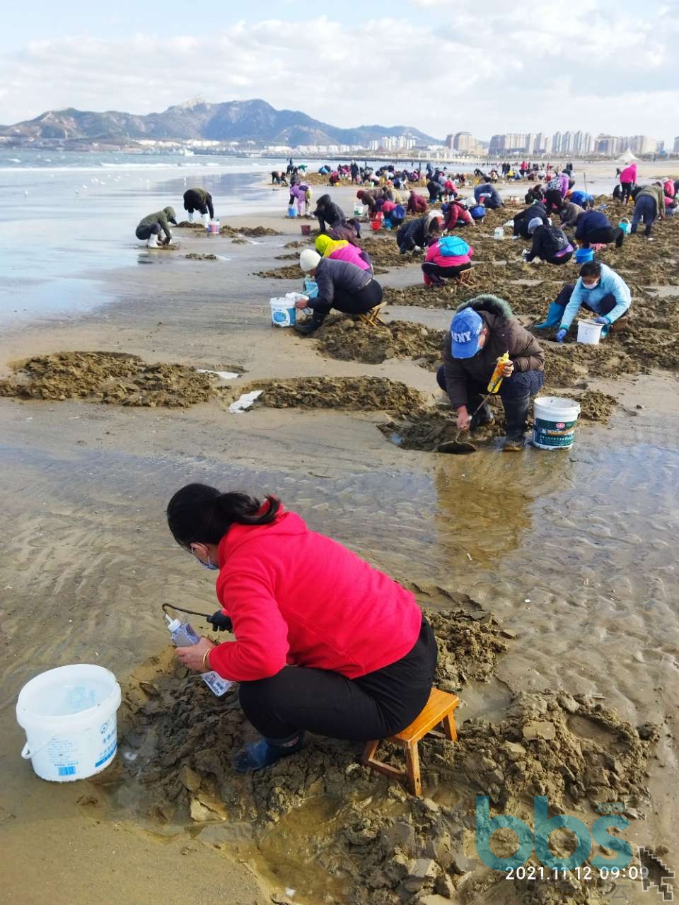 大梅赶海全集近期赶海图片